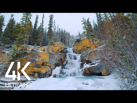 8 HRS of Calming Waterfall Sounds for Better Falling Asleep - Winter Charm of Tangle Creek Falls