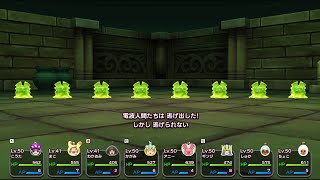 しびれジェリーに絶望！ハイスコアチャレンジ！ New電波人間のRPGFREE!
