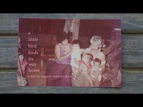 นกเล็ก (a little bird finds its way home) (2026) | Trailer
