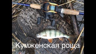 Рыбалка в рогожкино ростовской области на отводной поводок