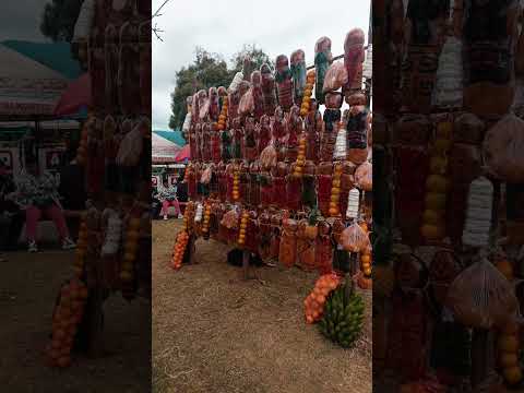 Fiestas de las Guaguas de Pan de Obonuco #Obonuco #GuaguasDePan #Pasto #Nariño #Tradición