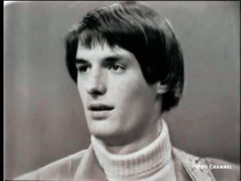 The Turtles   You Baby (Great live, 1966) [HD video]