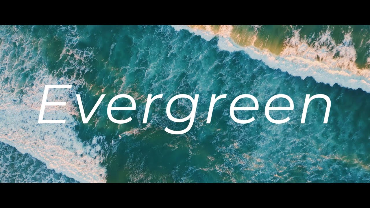 Evergreen