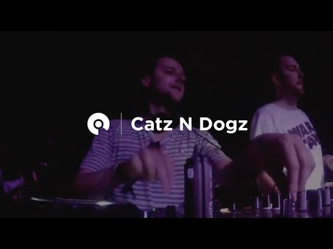 BPM Festival BE-AT TV - Catz N Dogz
