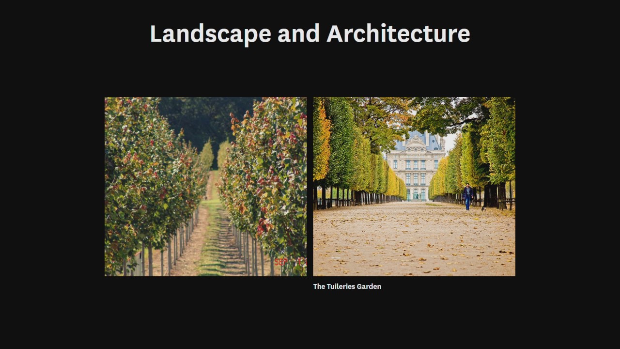 Inside the LA Studio with Michael Van Valkenburgh Associates