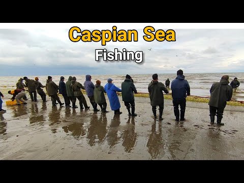 Iran walking tour | Fishing on Mahmudabad Beach 🏖️ Caspian Sea ماهیگیری، ساحل محمود آباد