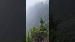 10 Pulau Terkecil Di Dunia Yang Berpenghuni #pulau #island #world #shorts #viral #trending #facts