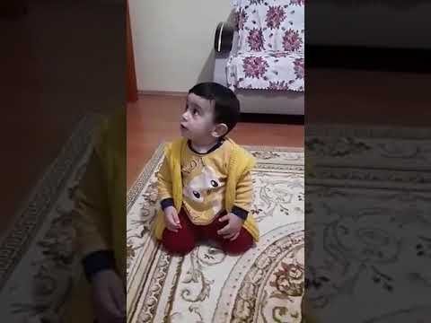 Erik dali gevrektir(emir)