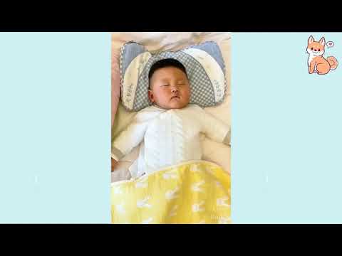 Cute Puppies  Cute Funny and Smart Dogs Compilation 16 Cute Buddy