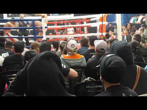 Primer Round/ Angel romani vs Carlos Padula -Semipro kickboxing