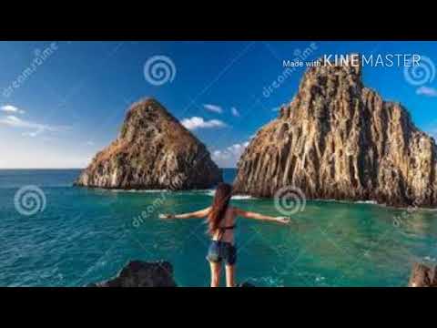 Três palavras video
