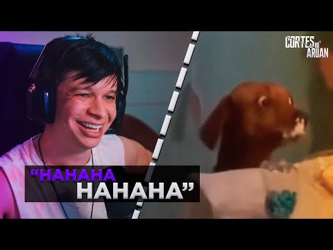 ARUAN REAGE A AMORA (COMPILADO DE MEMES) PARTE 14 - Cortes do Aruan