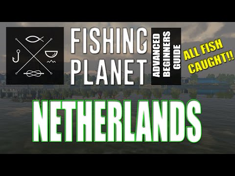 The Complete Fishing Planet Beginners Guide - Episode 14 - Netherlands