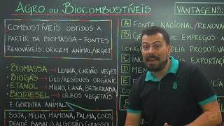 Agro / biocombustíveis