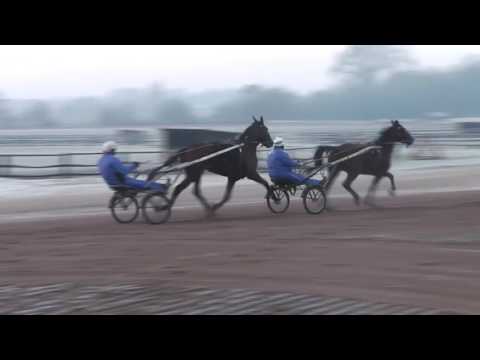 Escada de Lou et Elicatte de Viette