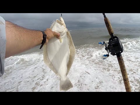 Keeper Fluke ( Summer Flounder ) - JIGGING the OCEAN SURF - Striped Bass - TEASER FISHING & More