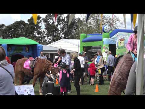 Cockle Bay Carnival 2015