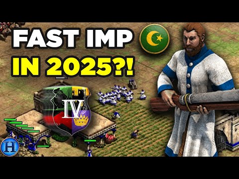 Does Turk Fast Imperial Work in 2025? | AoE2