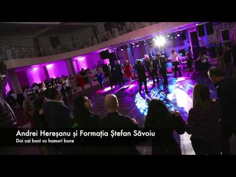 Andrei Heresanu si Formatia Stefan Savoiu - Doi cai buni cu hamuri bune