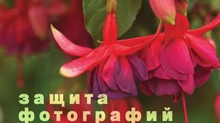 Как подписать фото: простейший способ