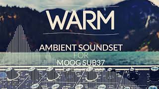 Video thumbnail for Warm Ambient Soundset for Moog Sub 37 - Chillout/ Ambient/ Downtempo Patches 2025 by Kulshan Studios