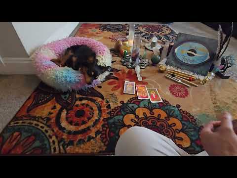 Carrot on a stick or go within?