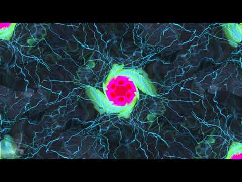 Tandem Project X – Source Code (Extended Mix) – [Visualizer]