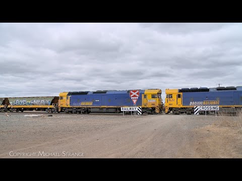 7731V Pacific National Standard Gauge Grain Train With BL32 G540 & VHAF Hoppers (9/10/2023)- PoathTV