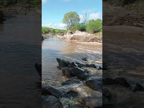 A Segunda Maior Cheia(Chuva),Esse Ano(2024) no Riacho de Bodocongó em Barra de Santana-PB,Natureza