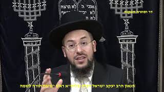 חושן משפט הלכות הלוואה ט הגאון הרב יעקב ישראל הכהן שליט"א ראש ישיבת תורה לשמה (דר וסוחרת - הלוויין של מרן) - התמונה מוצגת ישירות מתוך אתר האינטרנט יוטיוב. זכויות היוצרים בתמונה שייכות ליוצרה. קישור קרדיט למקור התוכן נמצא בתוך דף הסרטון