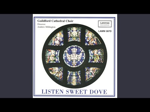 Magnificat in D-Minor