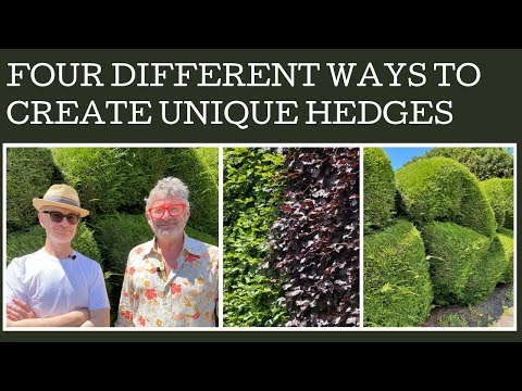 Four different ways to create unique hedges through plant selection, colour mix, pruning and design.