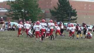 preview picture of video 'New Lenox Mustangs vs Homer Stallions (08/17/2013)'