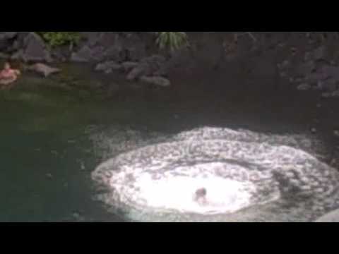 Cliff Diving Hana Maui