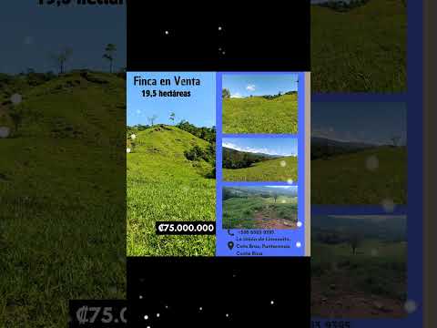 SE VENDE BELLA FINCA EN COTO BRUS, PUNTARENAS, COSTA RICA.