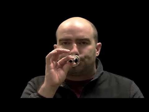 Anywhere Learning: Brass Tone Production