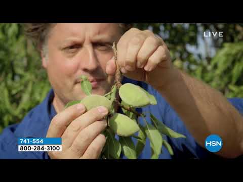 Perlier Golden Almond 3-teiliges Duschgel-Körpercreme-Set