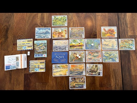 How Lou Sees It Aqua Video Review