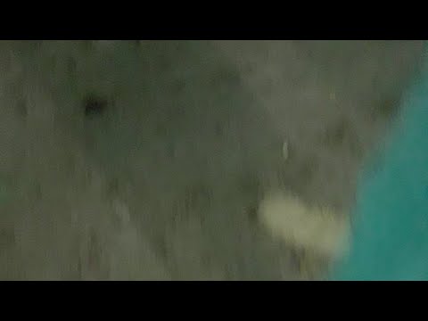 Ranting Kering Tiara Bahar