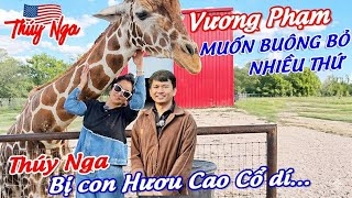 Download lagu Vương Phạm muốn buông bỏ nhiều thứ. Thuý Nga bị Hươu cao cổ dí… mp3