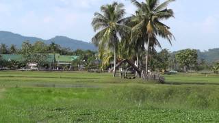 preview picture of video 'Laman Padi Rice Garden - Museum of rice / Музей риса'