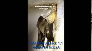 Download lagu Safirius Track 1.1 mp3