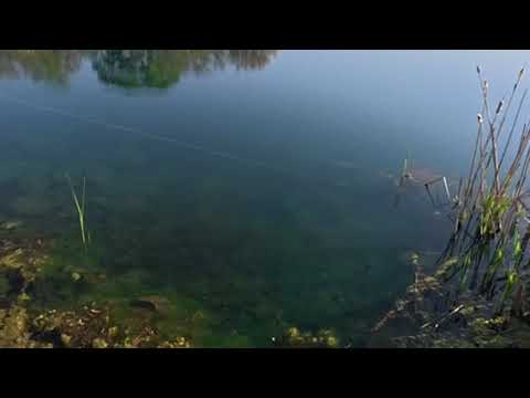 Catching those crappies!