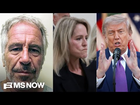 ‘MONSTER’! Trump pal Epstein rebuked by aide who is all over the files