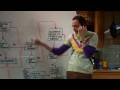 The Big Bang Theory - The Friendship Algorithm ...