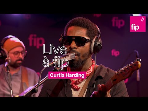 Live à fip : Curtis Harding