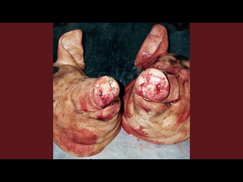 Video thumbnail for Chicharrones