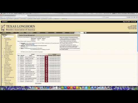 Horns 101: Herd Management - Pasture Grouping