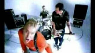 Blink 182 - Roller Coaster