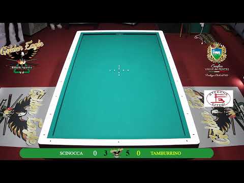 scinocca  carillo vs morgante tamburrino